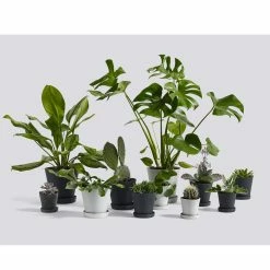 HAY Flowerpot With Saucer - Grey -Living Sales Store HAY flowerpot openroompots 6bf9cbc1 0ada 4dff bf26 a3fd108ecaef