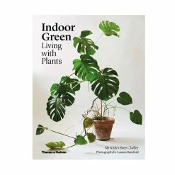 Open Room Indoor Green: Living With Plants