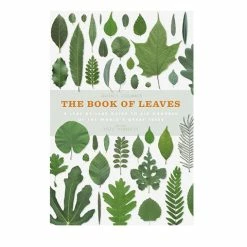 Open Room Book Of Leaves