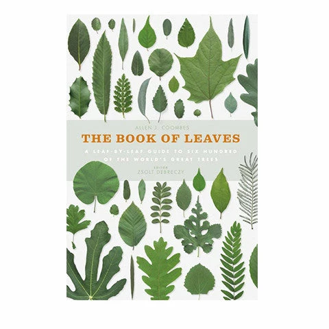 Open Room Book Of Leaves 3 Open Room Book Of Leaves