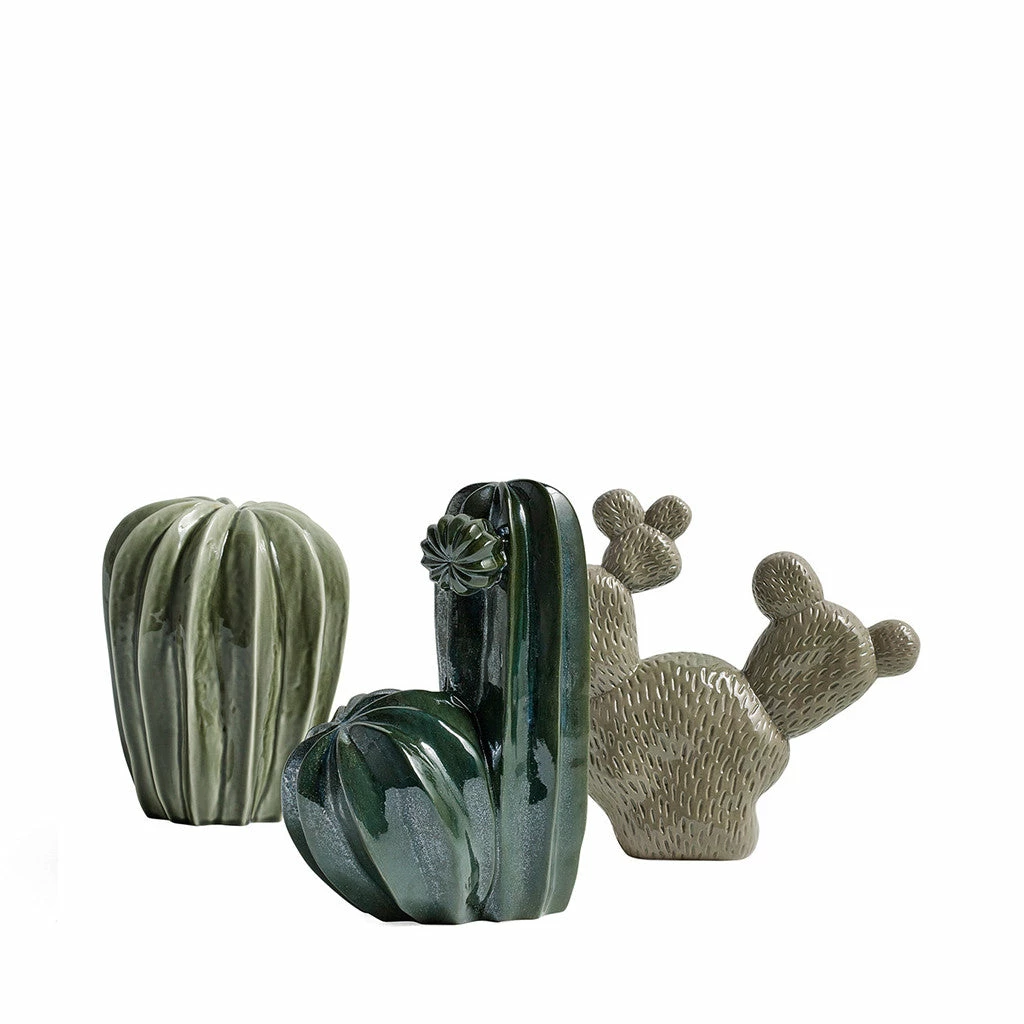 Cacti Uno, Green For HAY 4 Cacti Uno, Green For HAY - Image 2