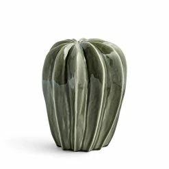 Cacti Uno, Green For HAY